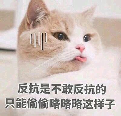 猫咪表情包|劳资的心,收好