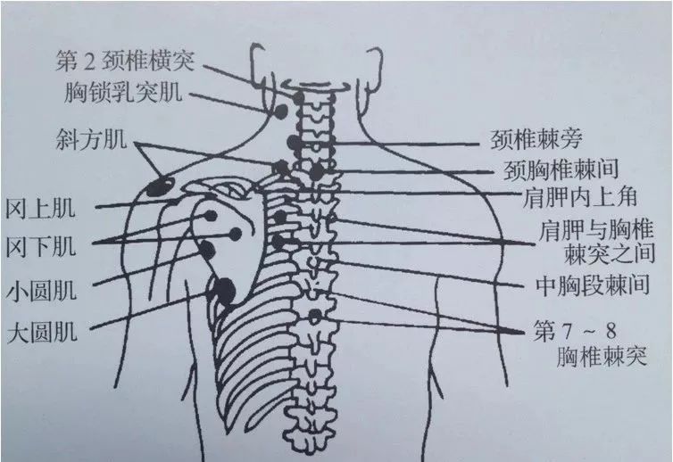 疼痛科常用体检大全