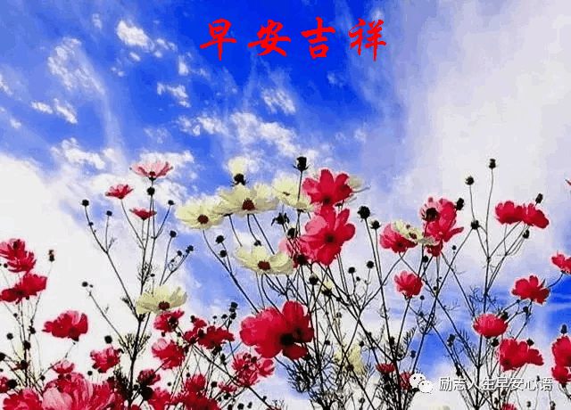 612星期三《早安心语》∮