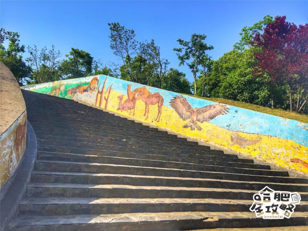 再见了!陪伴我们长大的合肥野生动物园!