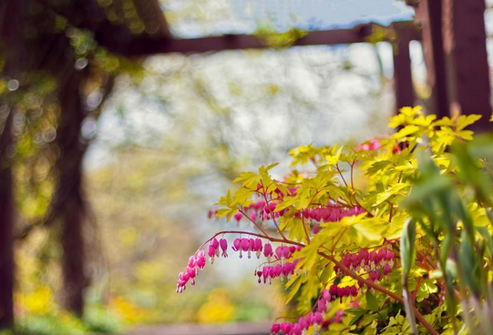 生命经不起等待,请微笑一直向前