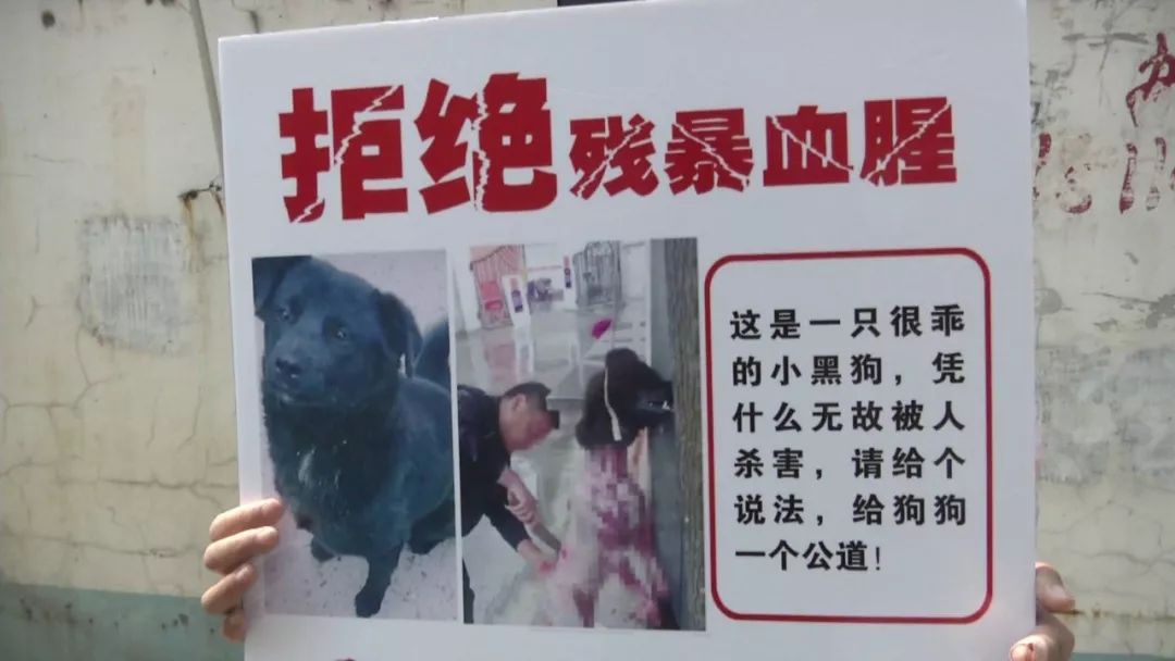 当众杀狗,该不该?(内有视频)