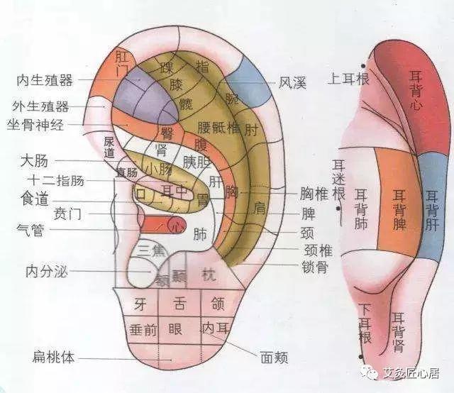 眼睛老人就真的老了改善死鱼眼调眼疾就靠这招了