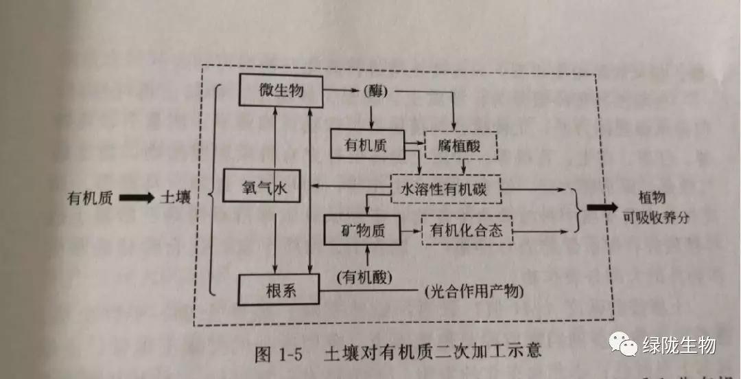 种作物关键在于养地!土壤成分中的重要部分---腐殖酸