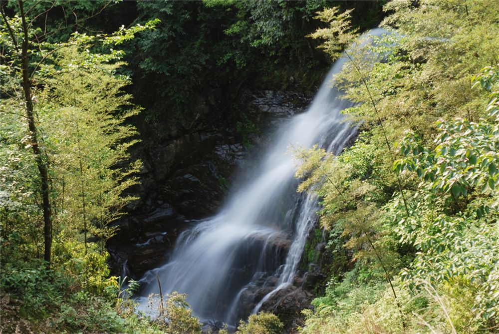 【森林旅游】天柱峰国家森林公园:秀美的山,清澈的水