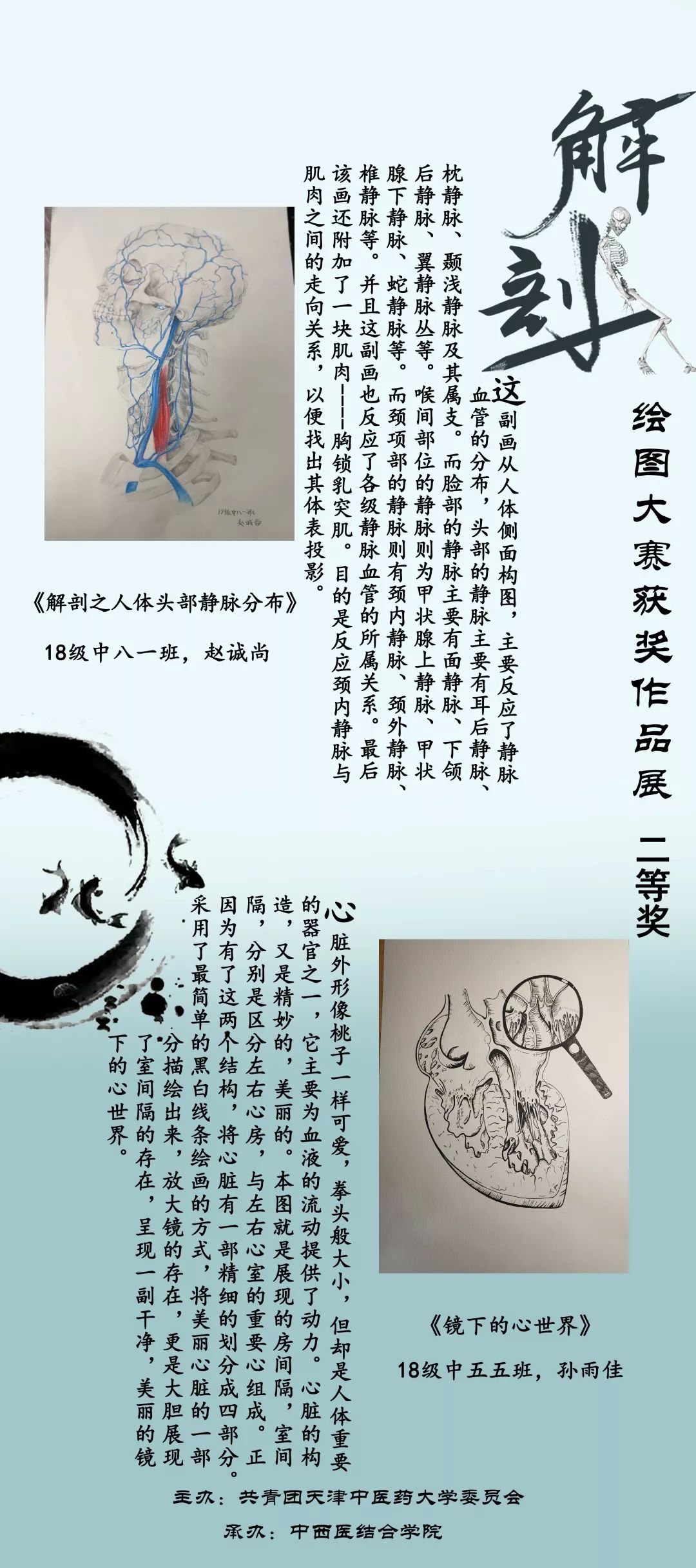 解剖方强医术,"于泽杯"第二届全国医学生解剖绘图大赛天津中医药大学