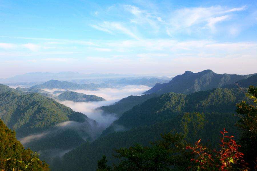 安远三百山人口有多少_安远三百山旅游景点