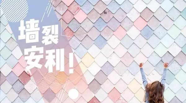 乌市惊现网红拍照墙