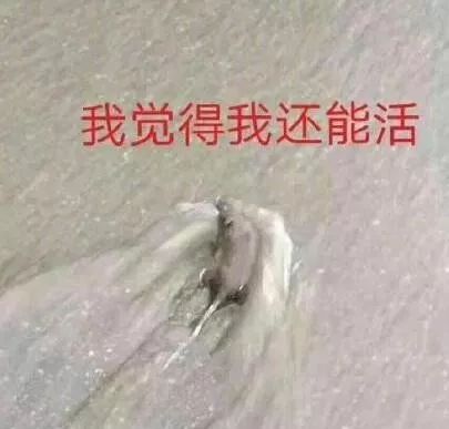 e35f5f95aa2a4992b2d3b9ce1cdc937d.jpeg
