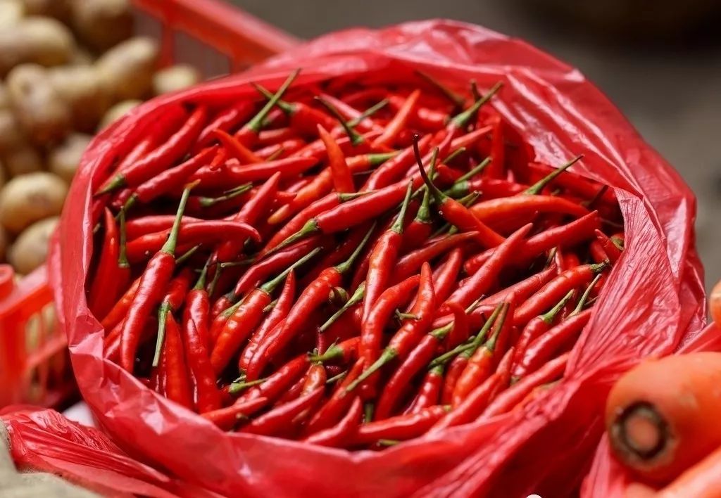 最辣椒的辣椒_世界上最辣的辣椒是什么椒