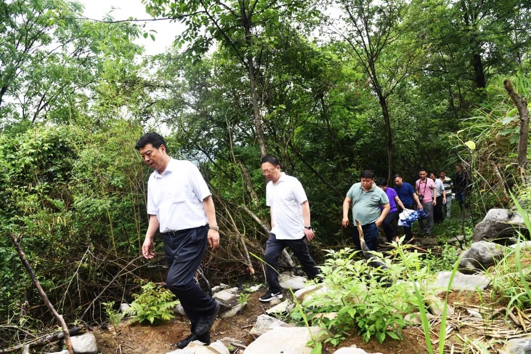 梅国华一行调研伏口湘安古道