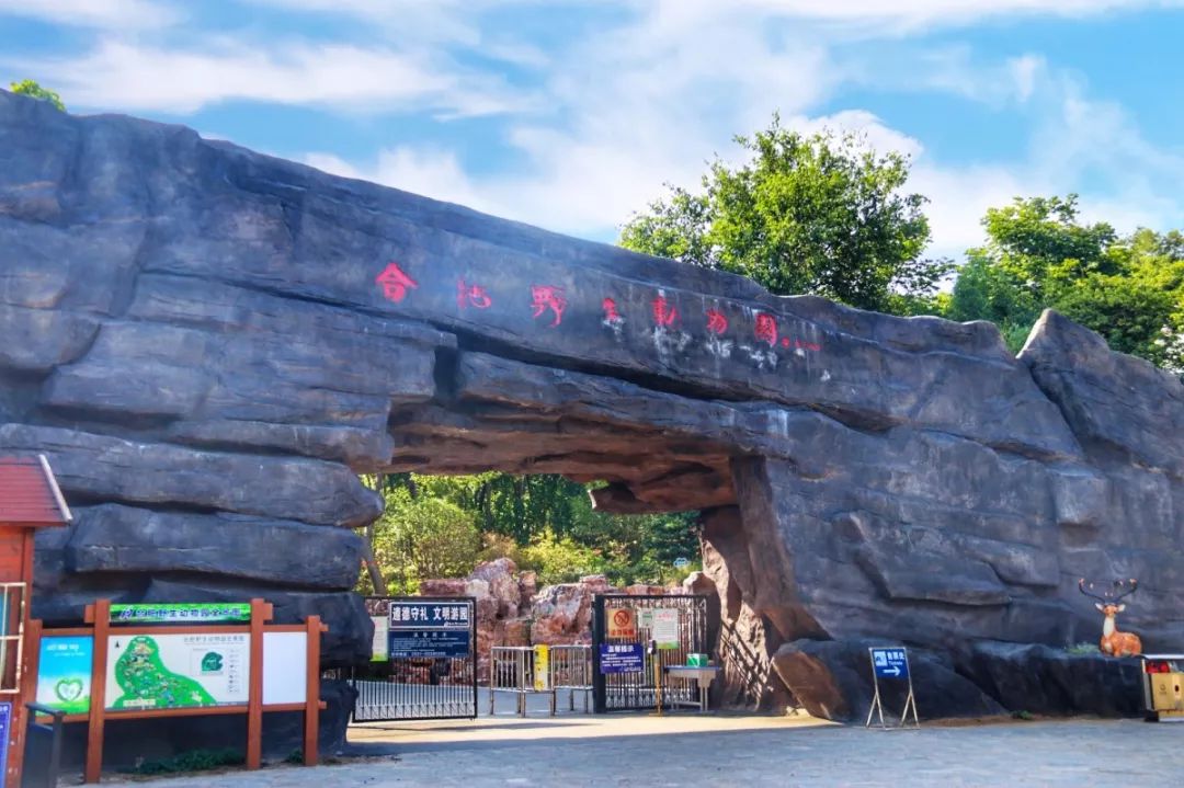 再见了!陪伴我们长大的合肥野生动物园!