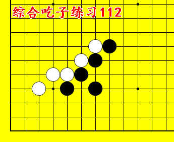 动态正解图