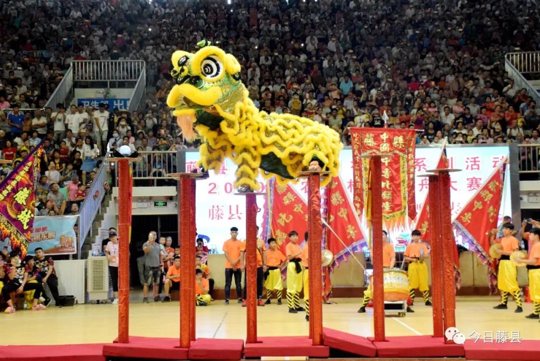 燃爆东方狮王回藤县展演只为家乡这一件大事