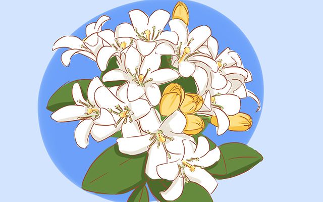                     原创            孩子鼻腔很敏感，家里这些东西要更换，否则可能引起鼻炎