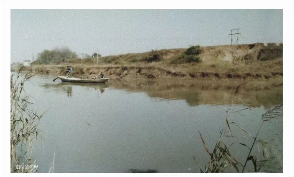 太珍贵了！相城这个小镇一批老照片首次曝光