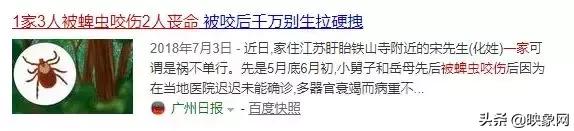                     “夺命蜱虫”再出没！河南已有3名宝宝被叮咬、钻进体内