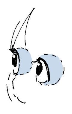 绘画初学者如何画眼睛?首先从眼睛的结构开始