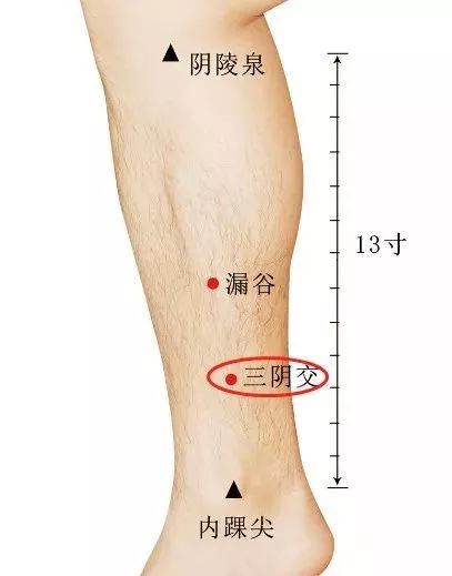 绘灸人口的意思_喝水都胖的人如何用艾灸调理 艾艾贴泽红总代教你使用方法(2)