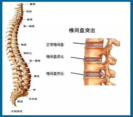 颈椎生理结构前突,最合适的生理位置在中立位略微有点后伸,否则就