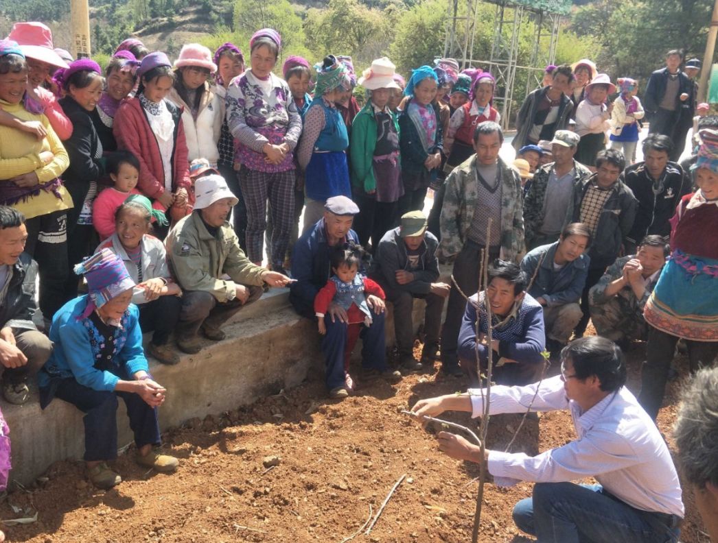 凤羽镇起凤村稻田养鱼协会养殖基地洱源县砚台工艺品协会(图片来源