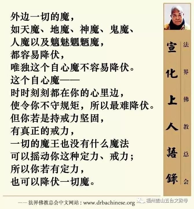 心上的罗伽曲谱_心上的罗加曲谱(2)