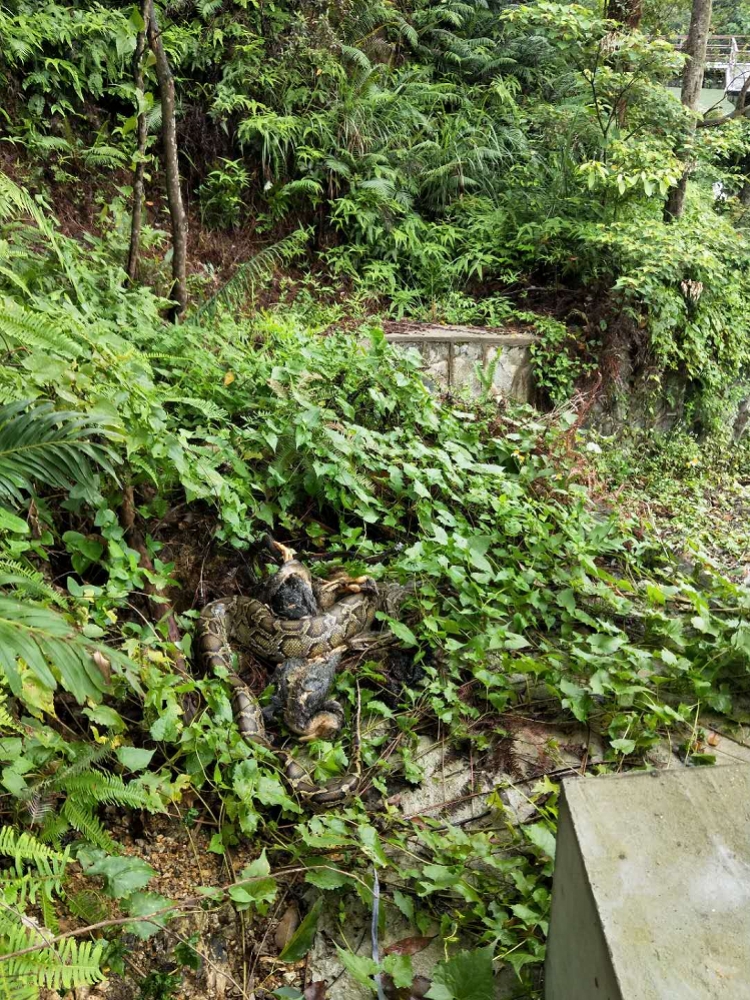 珠海三灶镇各村常住人口多少_珠海三灶镇金沙滩图片