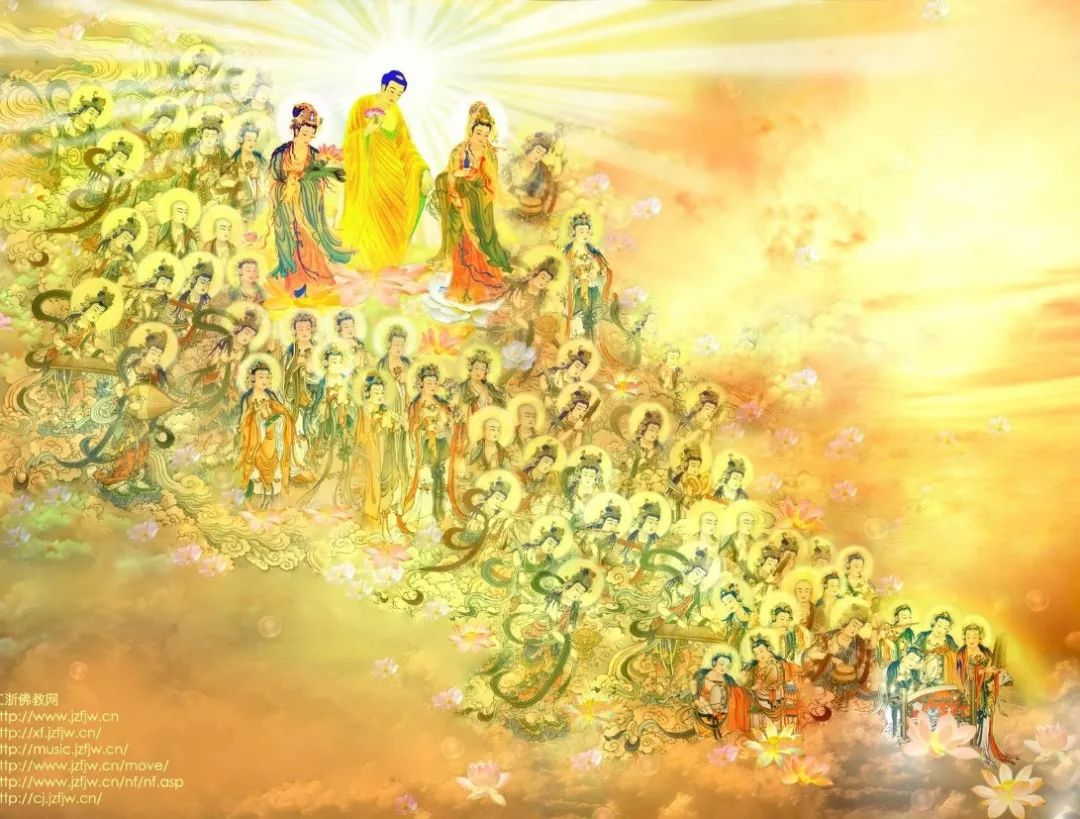 愚痴到极点的傻子念佛往生极乐|当头棒喝!