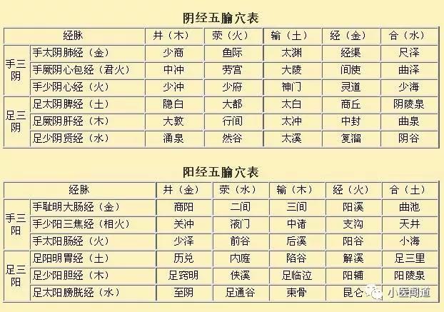 小白自学中医 治病救急常用穴位 五腧穴 精华版 三阳