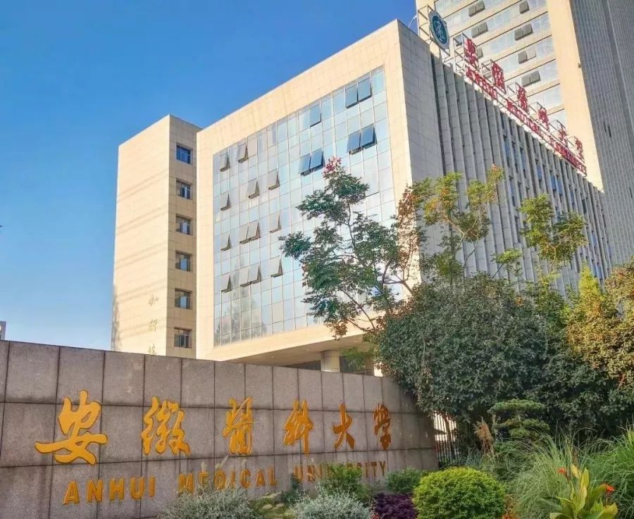 中科大、合工大、安医大…省内的这些高校招生