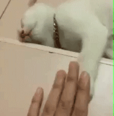 女方家长:听说你们经＃加班?