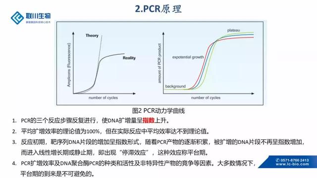 pcr技术利用的原理