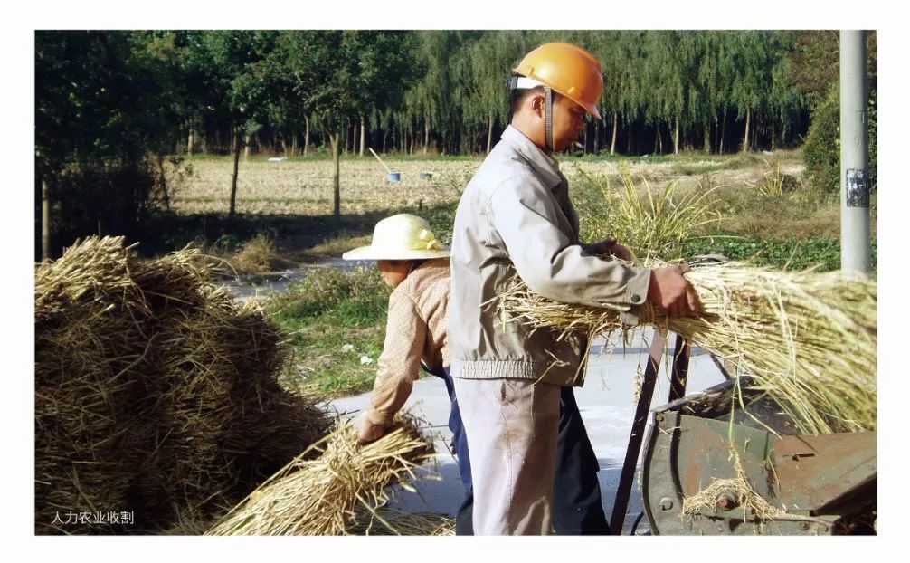 太珍贵了！相城这个小镇一批老照片首次曝光