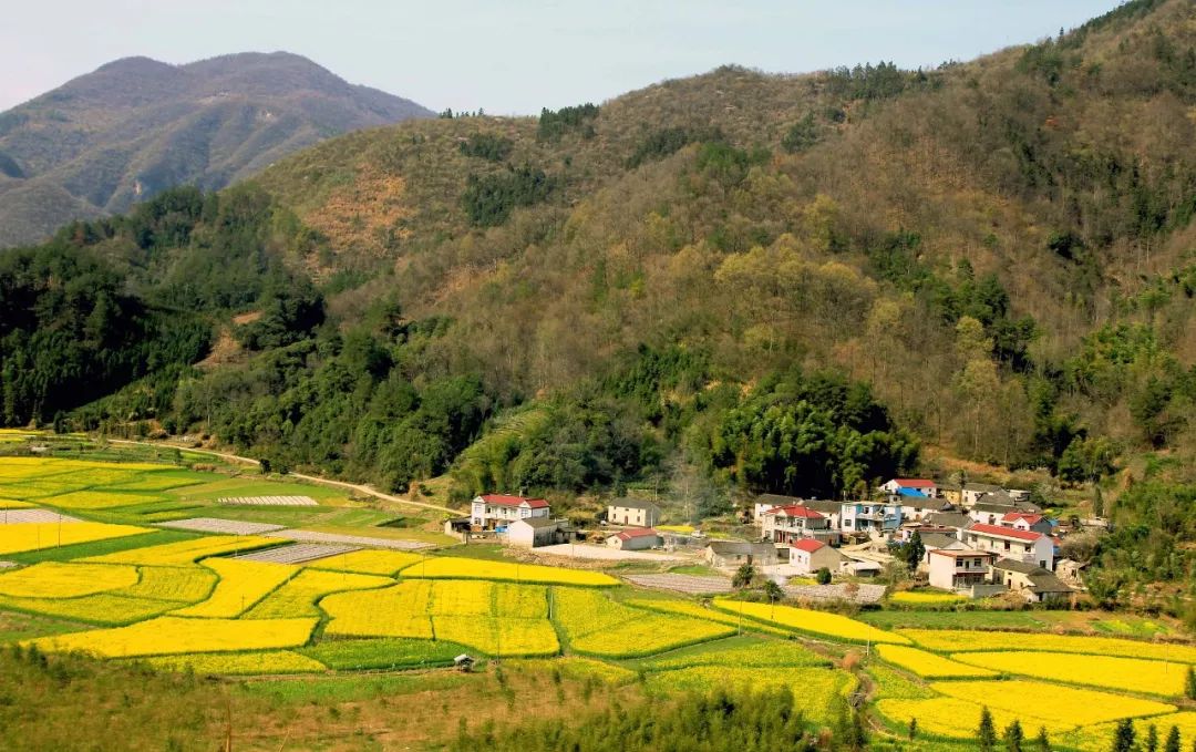 山东除了GDP其他都不如浙江_浙江大学