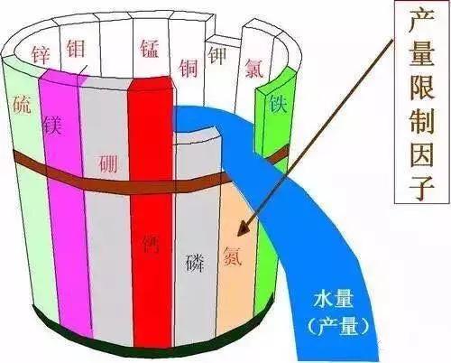 作物缺素不能不补,但补充营养元素不能贸然施肥(植物对营养元素的