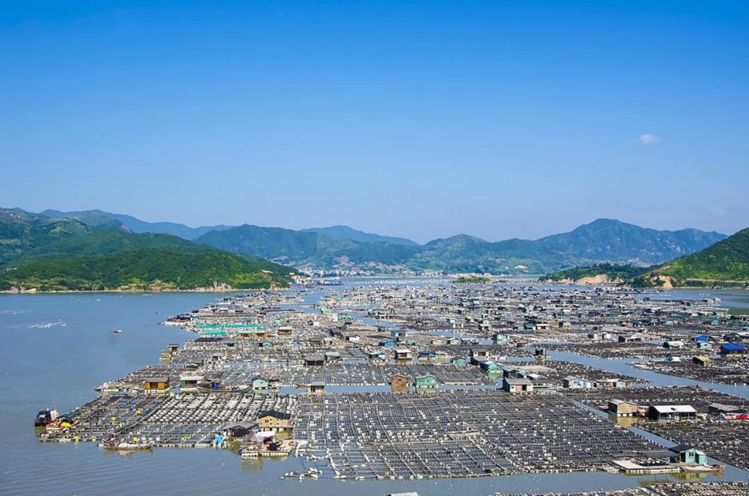 霞浦东安岛跟关门有多少人口_上海浦东机场图片(2)