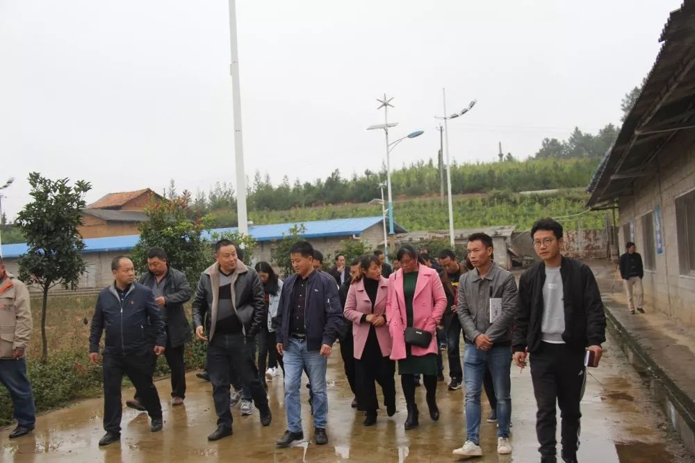 王安镇人口_涞源王安镇图片(3)