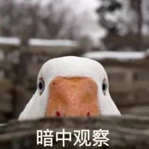 43a5f65735e348ec855c6b5bc787a2ee.jpeg