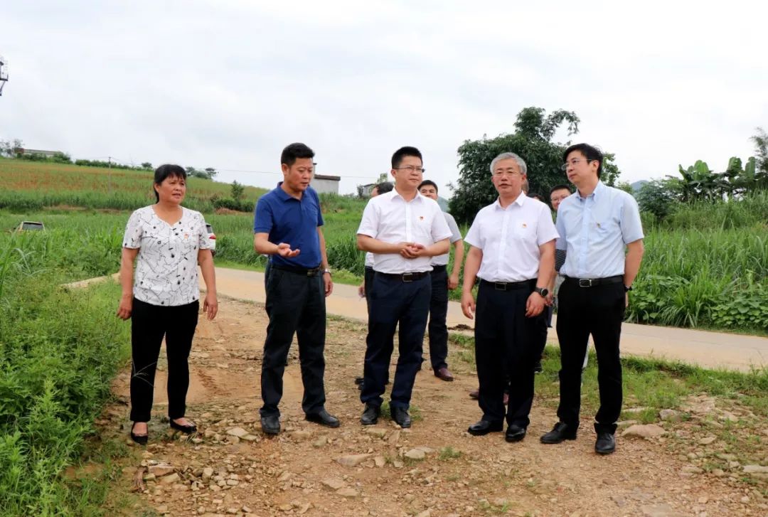 6月11日,柳州市委常委,副市长刘可到冲脉镇长山屯就危房改造和乡村