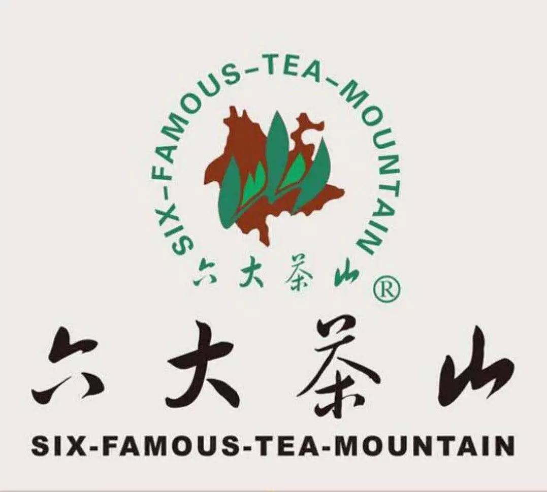 六月京城相约品牌茶企六大茶山
