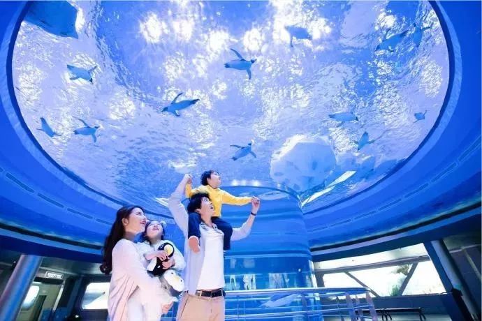 大沙湾游乐园和苏马湾生态园两处浴场以及从事海上观光的游艇俱乐部