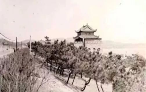 文章配图-13