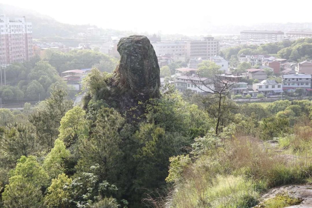 仙桥断壁前有一座小山峰形状像一个大肚的罗汉和仙人桥一起被贵溪人称