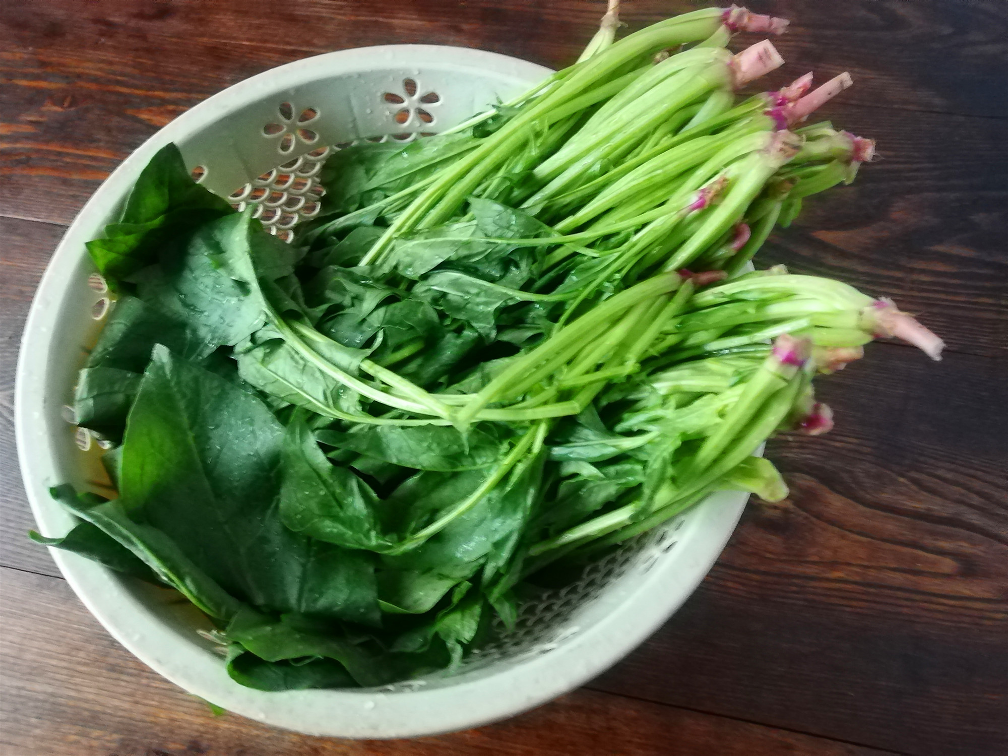 一颗新鲜菠菜43735_蔬菜/肉_收获季节_图库壁纸_68Design