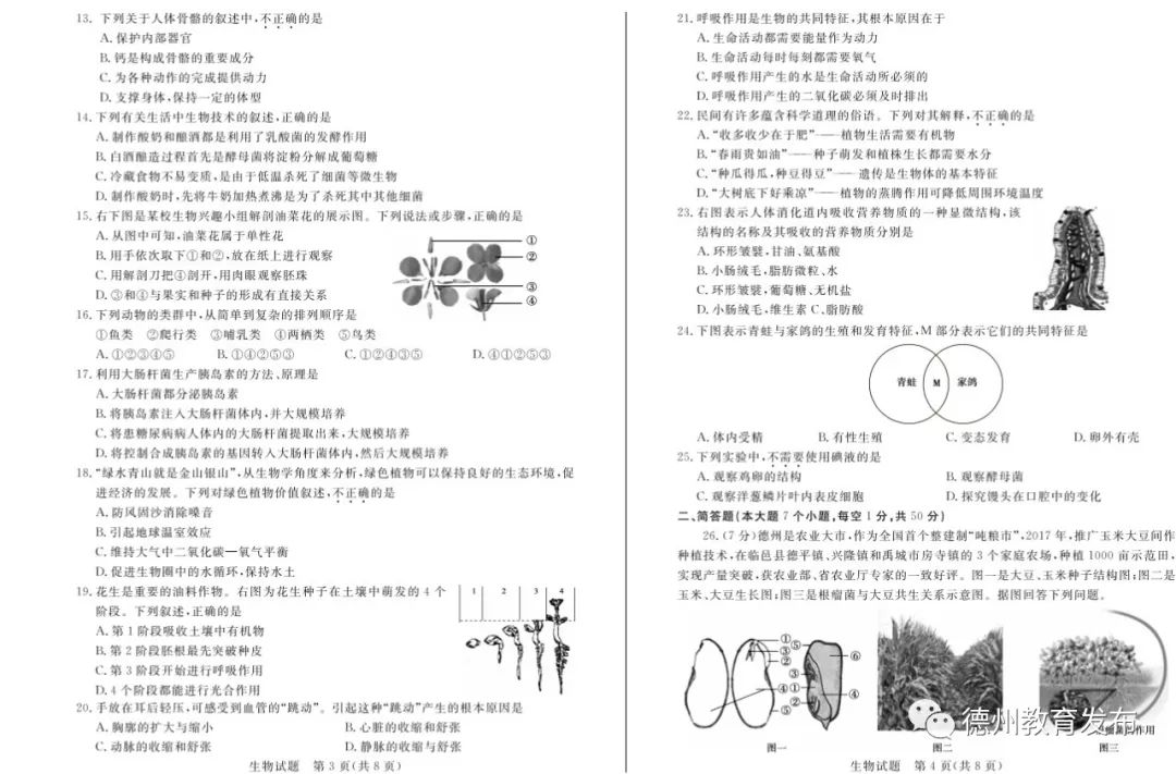 64e69a02aa4747019e0e114f06707cf3.jpeg