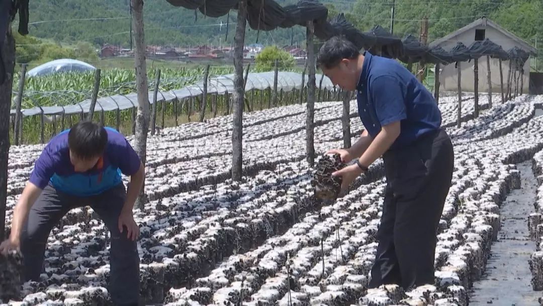 【头条《吉林新闻联播|王平堂:用真心换真情 打赢脱贫攻坚战