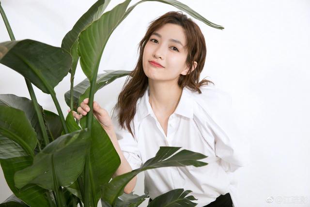 江疏影背后的人 6addfcd703fc401da113da70ac6653c1.jpeg