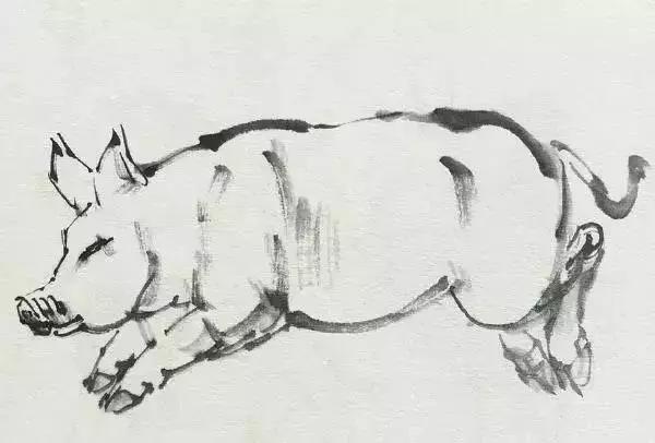 4.调淡赭石沿着猪身体的结构勾勒,并在身体结构部分侧锋用笔着色。 范例2: 1.调重墨中锋用笔勾勒出头部和前肢,结构转折处侧锋用笔擦出。 2.接着顺势勾勒出背部、臀部和后肢部分,注意四肢关节处的转折。 3.进一步完善四肢和腹部结构,并勾出腹部的乳头,以突出母猪的特点。而后调稍干的中墨在四肢和腹部结构转折处适当皴擦,表现出整体的结构和层次。 4.