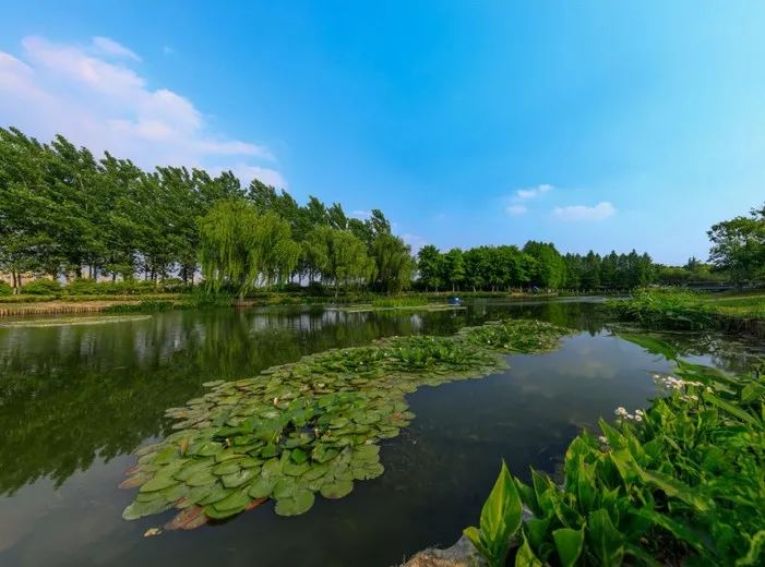 水生态修复▲河道整治后▲泗泾湾家园雨污分流改造大气环境专项整治