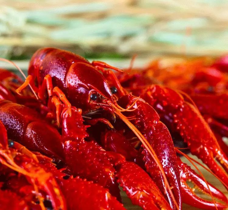 胃里抽出一斤多脓液,8岁男童被推进ICU急救!这